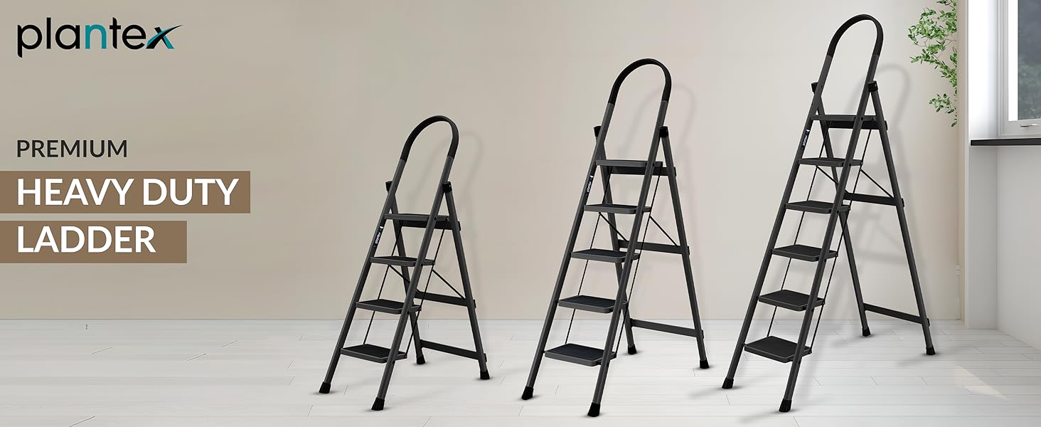ladder for home