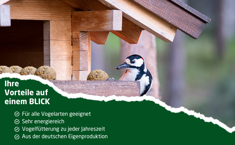 Vogelfutterhaus aus Holz mit sichtbarem kleinen Vogel und deutschem Text, der die Vorteile des Vogelfuttersystems beschreibt.