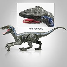 Raptor toys