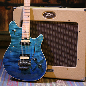 peavey hp2 美品　ハードケース付き Amazon.co.jp: Peavey HP2 Deep Ocean TR 【国内正規品】 : 楽器