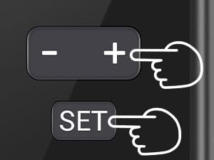 Thermostat for Reptiles