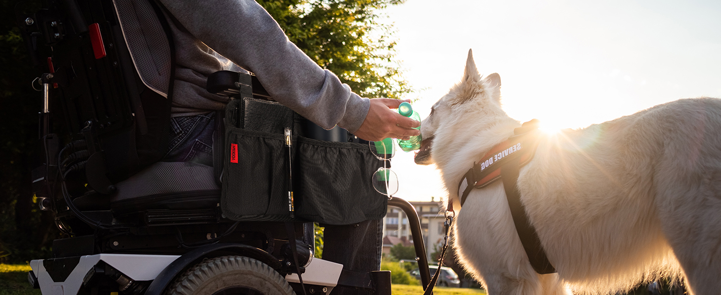 Wheelchair Side Bag