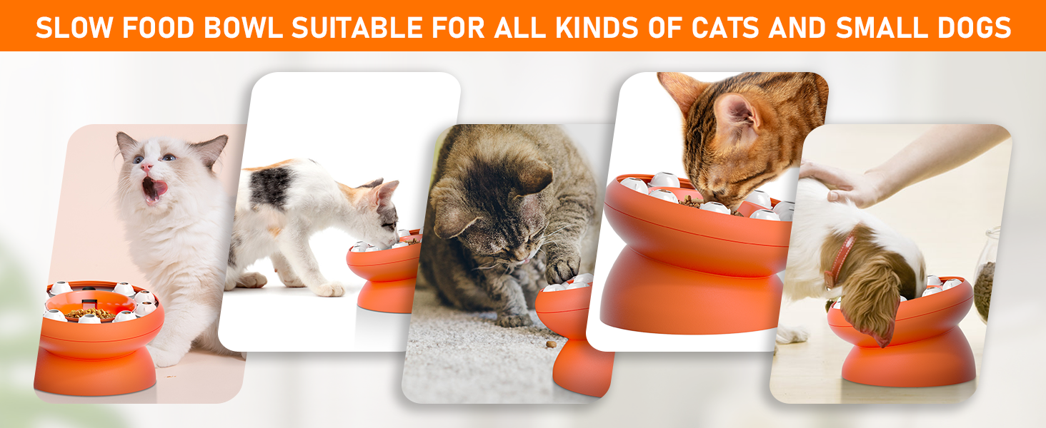 HOUSEHOLD WORLD Slow Feeder Cat Bowl, Fun Interactive