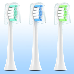 Three Different Bristle Color for Choice