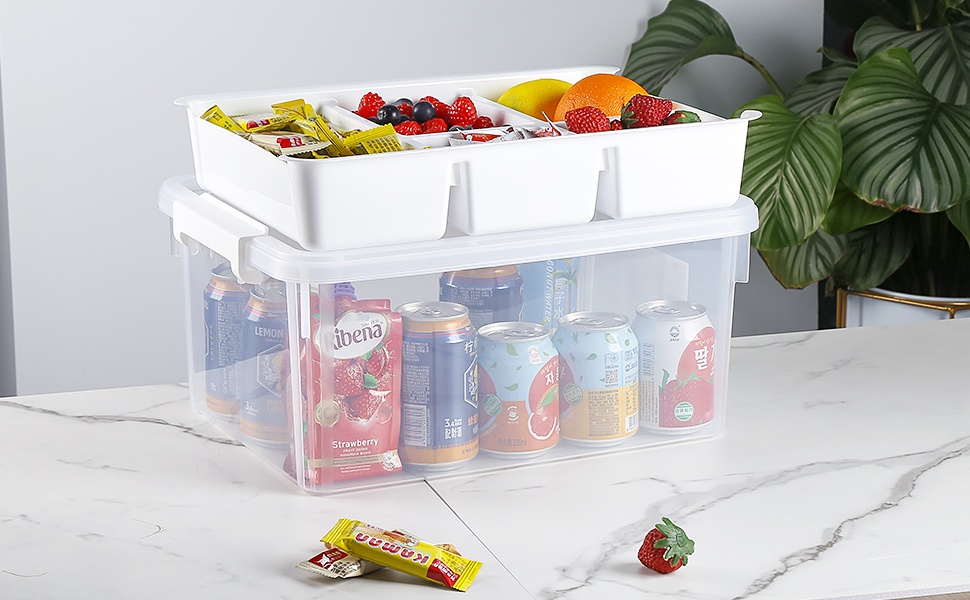 organizer bins with removable tray