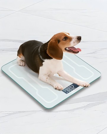 dingital _scale_ for _body