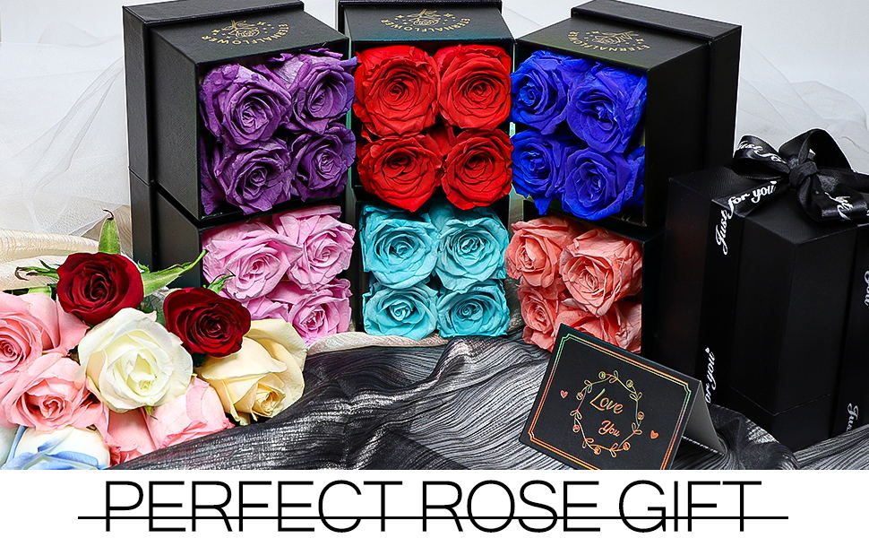 Amazon.com: TIANFU 16-Piece Forever Roses in a Box