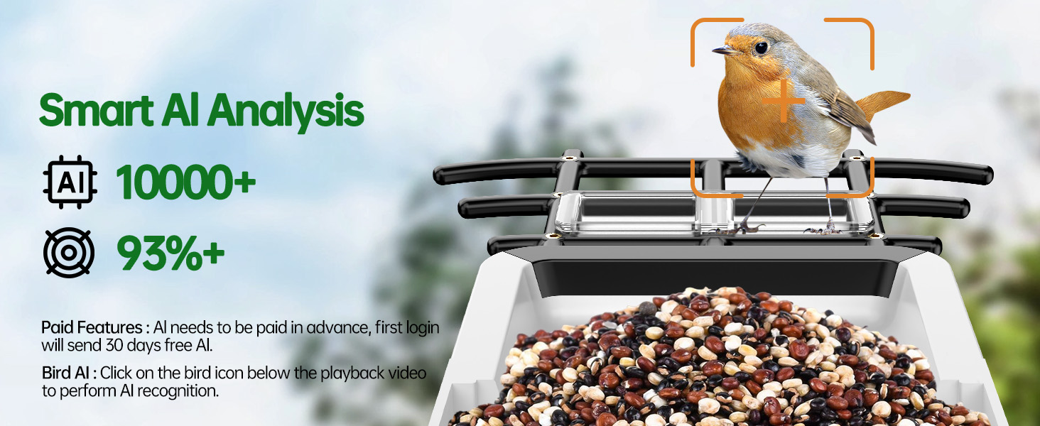 smart bird feeder with camera