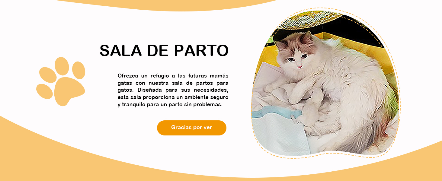 Interfaz web para 'Sala de Parto' con una imagen circular de un gato blanco con gatitos sobre una superficie azul, junto con un icono naranja