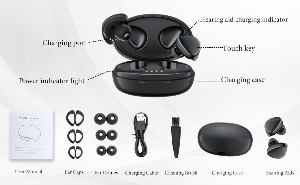 hearing aids with charging case