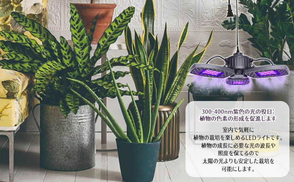 Master K 監修　植物育成ライト led グローライト　600W Amazon.co.jp: グローライト 15W 太陽のようなフルスペクトル