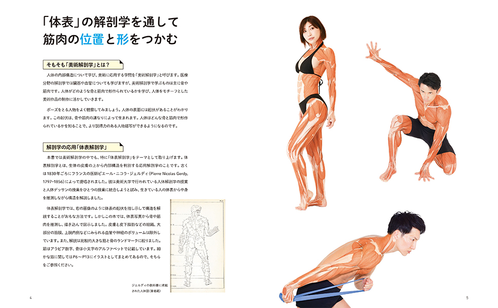 アーティストのための体表解剖学　3冊セット　美術解剖学 アーティストのための体表解剖学 ポーズごとに筋肉の位置と形を