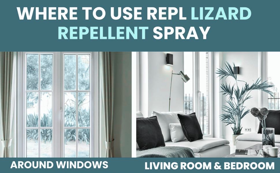 lizard repellent for home spray pest control