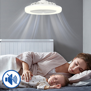 Fan Light Bulb