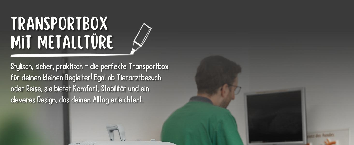 Transportbox