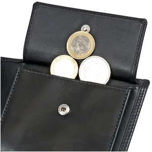 Brown Bear Portmonee Herren Männer Leder Echtleder mit Münzfach RFID-Schutz Blocker groß klein