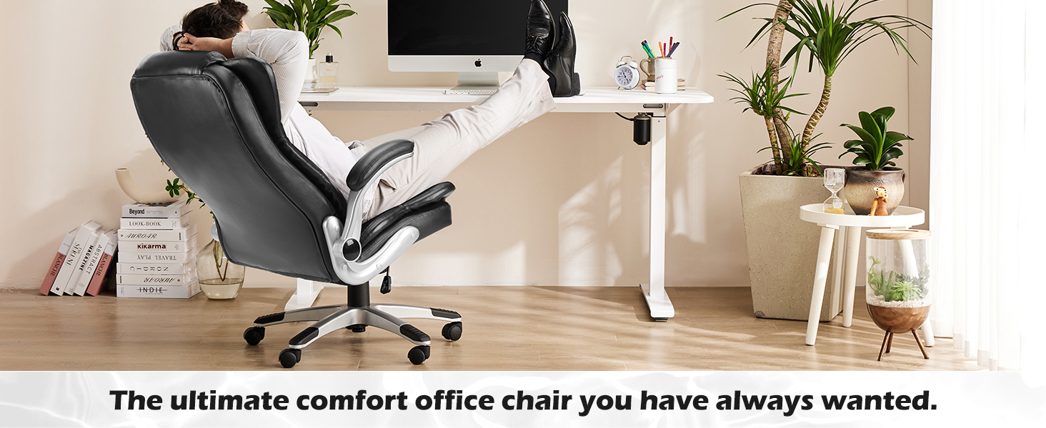 OLIXIS Executive Home Office Desk Chair with Flip Up Arms