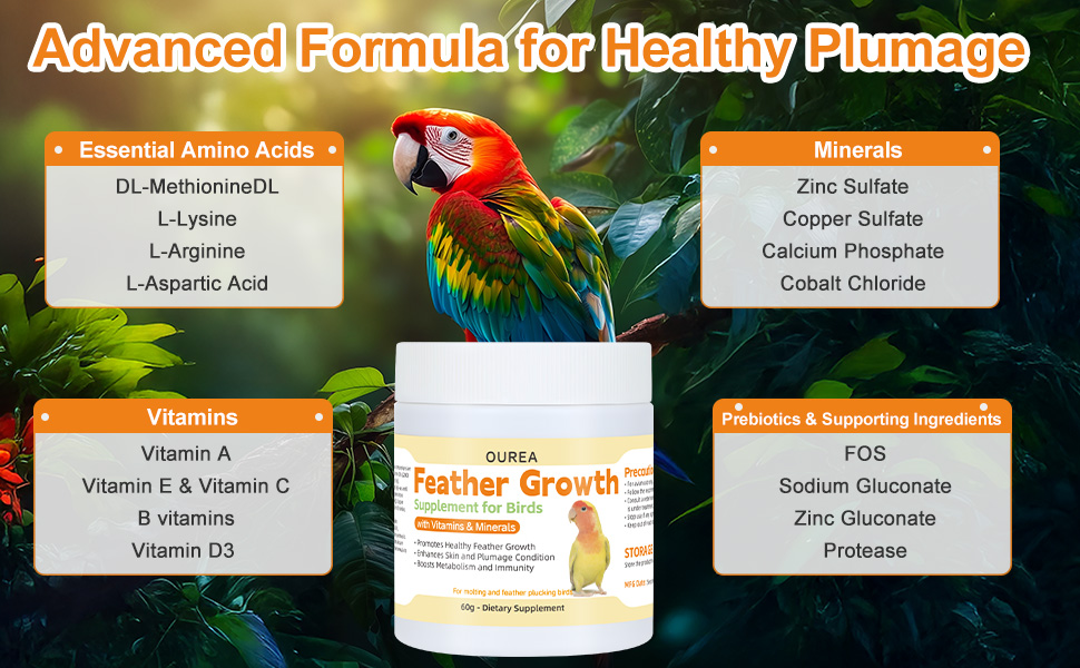 bird molting feather regrowth