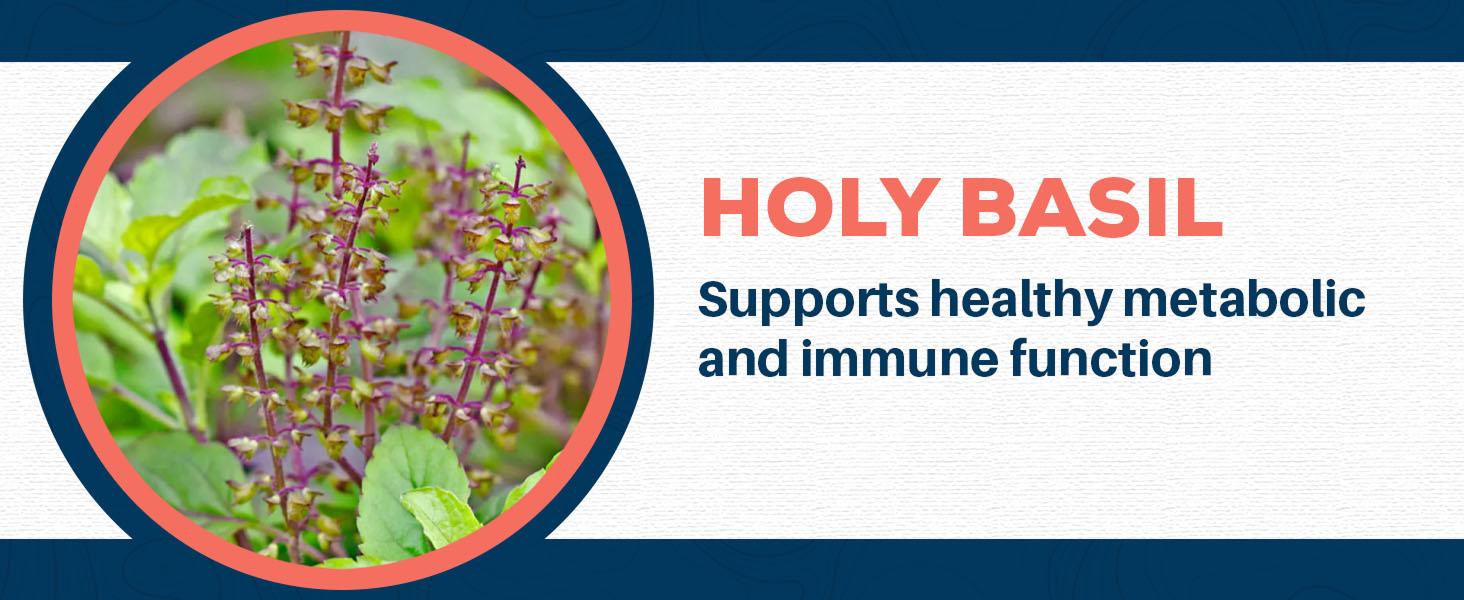 b complex loss berberine daily encapsulation fiber supplements drive multivitamin dfh vitamin