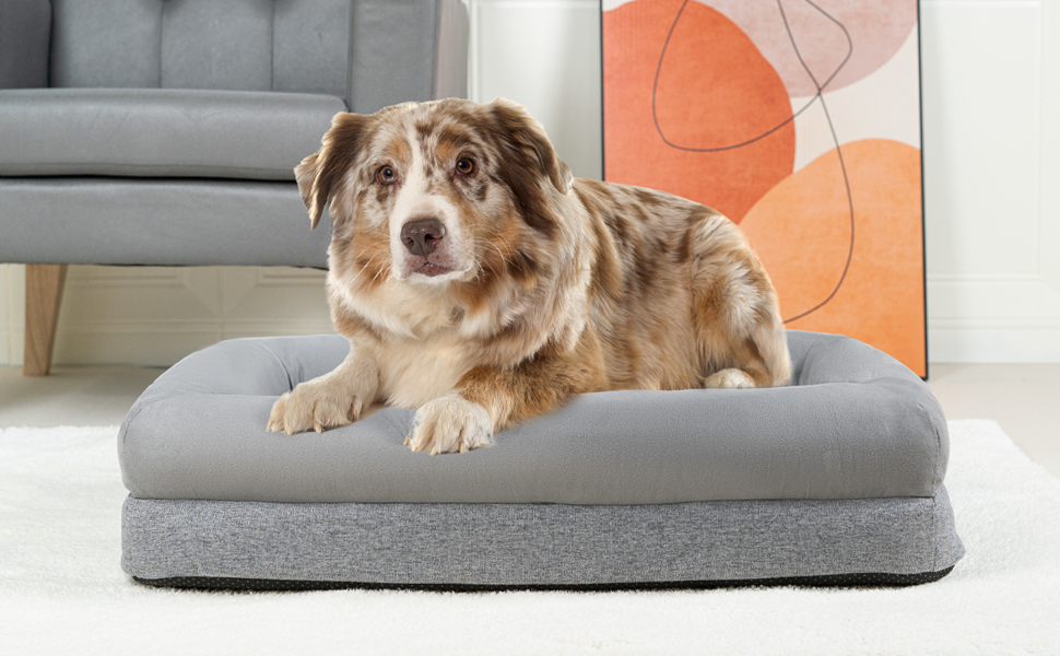 Hawsaiy Orthopedic Dog Bed 75×58×18CM for Medium Small Dogs, Memory