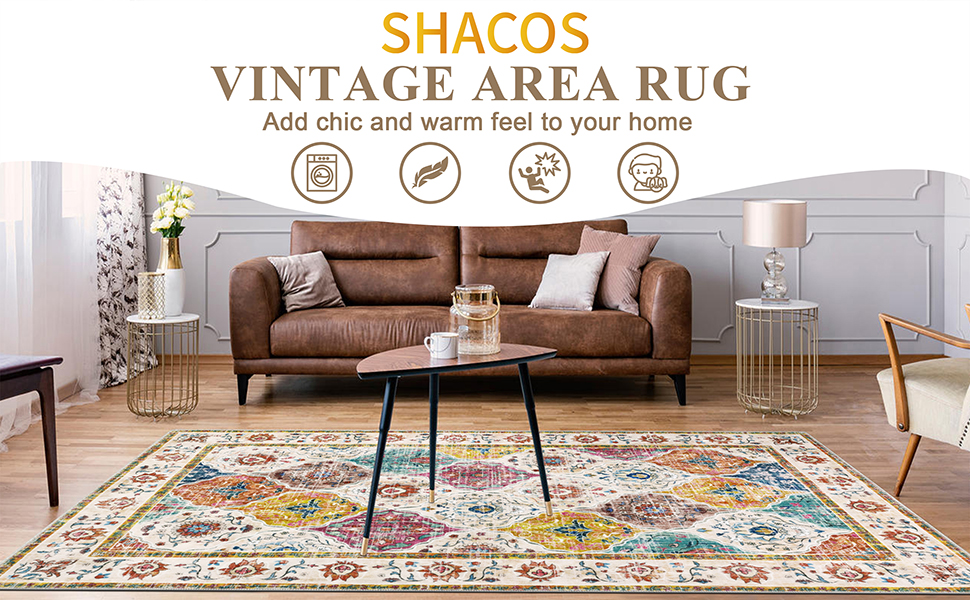 Living Room Area Rugs 