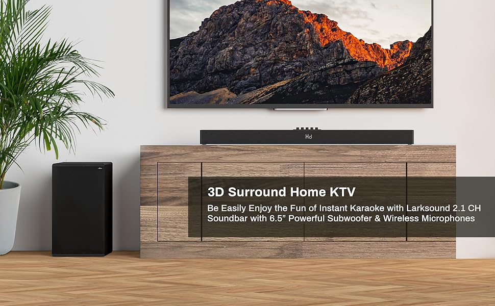 Larksound Karaoke Machine for Adults, with 2 Wireless