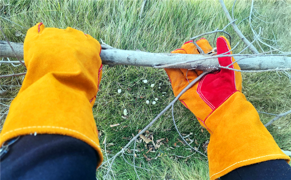 Thorn Proof Gloves