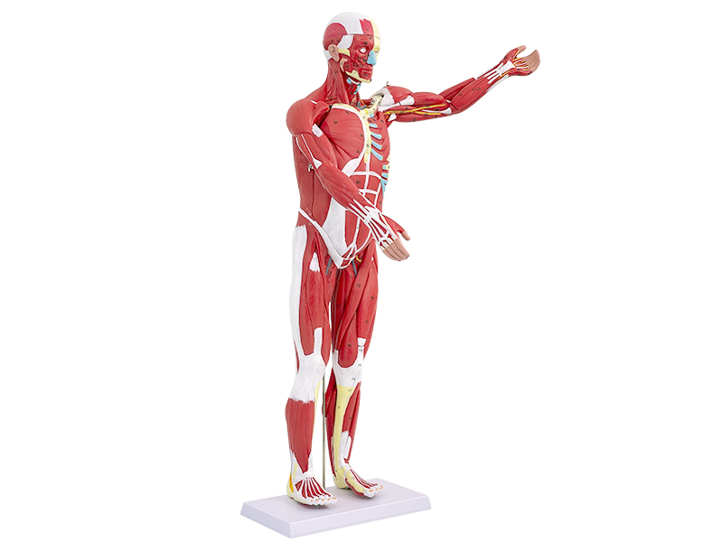 Large manufacture image 2