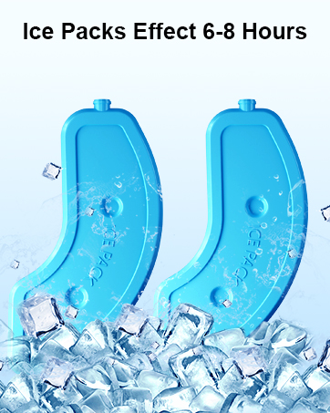 automatic cat feeder ice pack