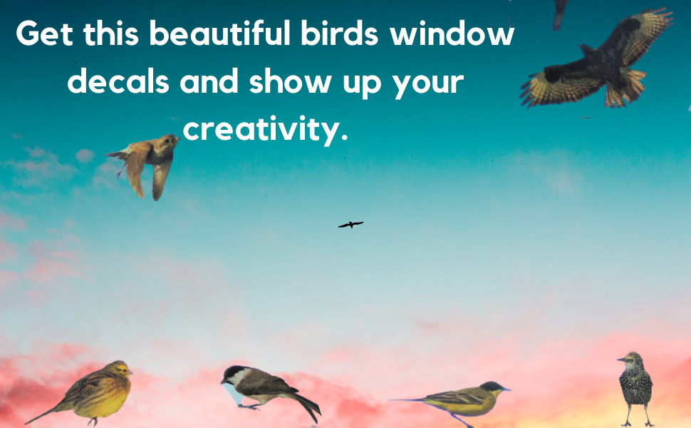 LPS Realistic Colourful Bird Birds Robin seagull window Static Cling Stickers non adhesive