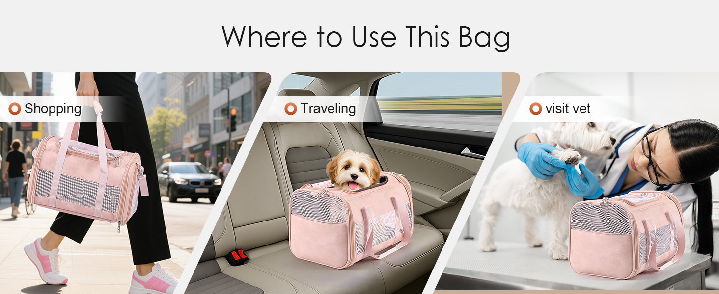 Fashion Leather Dog Carrier