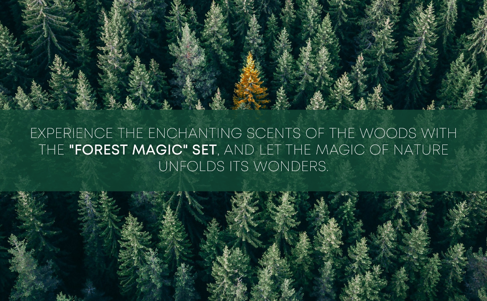 Experience the enchanting scents of the woods with the "Forest Magic" set