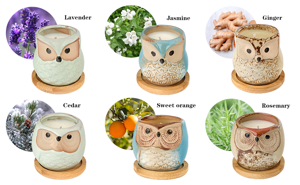 owl scented1