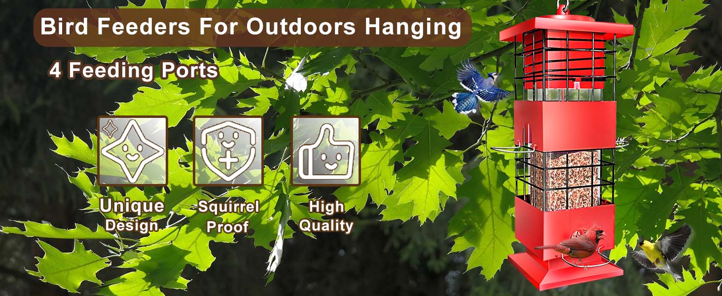 bird feeder for outdoors