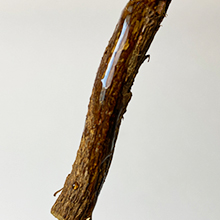Licorice Root
