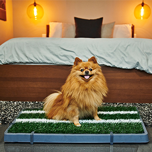 Small manufacture image 4