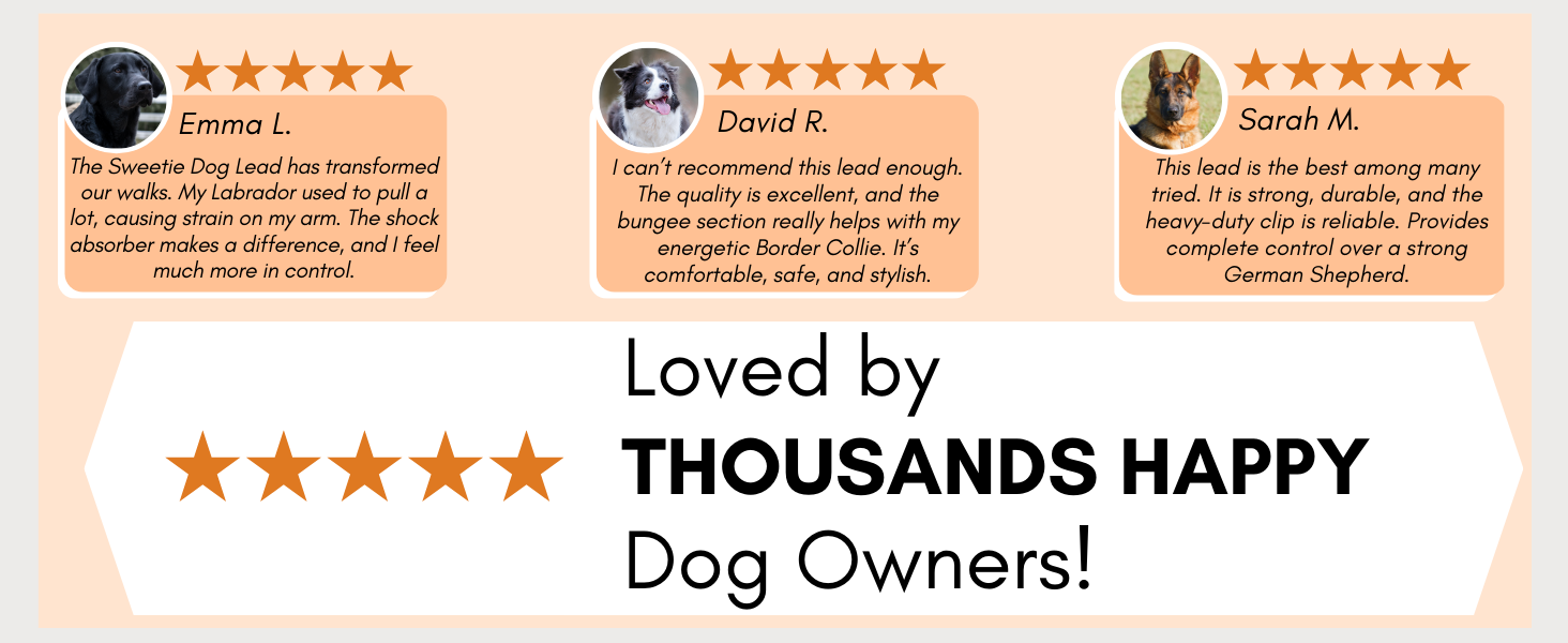 bungee lead for dog bungee dog leads for large dogs bungee lead for dogs shock absorber dog lead