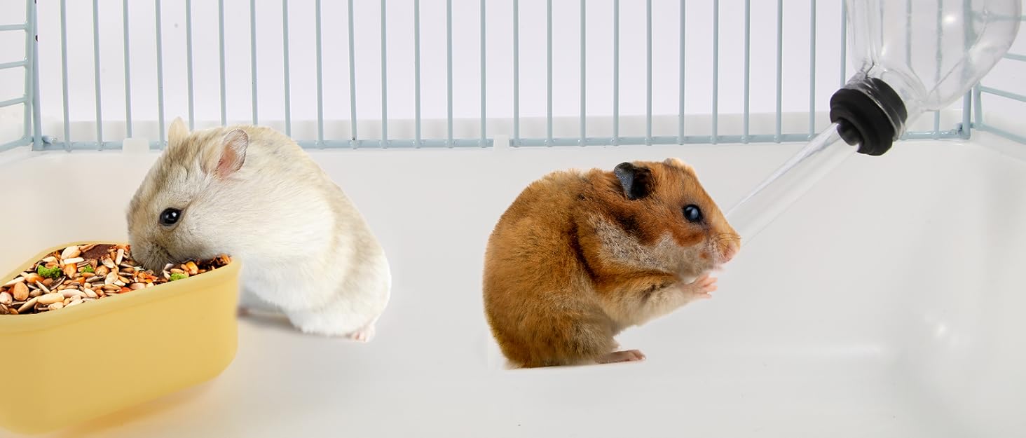 hamster carrier cage carrier