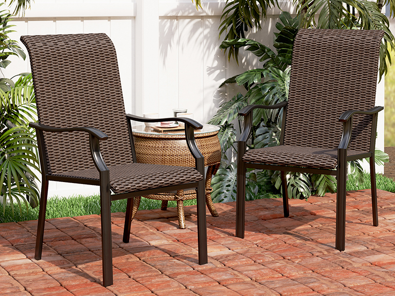 PHI VILLA Outdoor Rattan Dining Chairs Set of 2, Extra