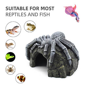 Gecko Tank Accessories