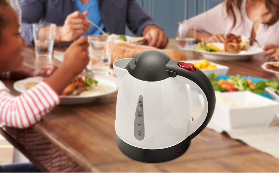 VIFERR 12v Portable Car Electric Kettle 1000ml Travel Kettle Stainless