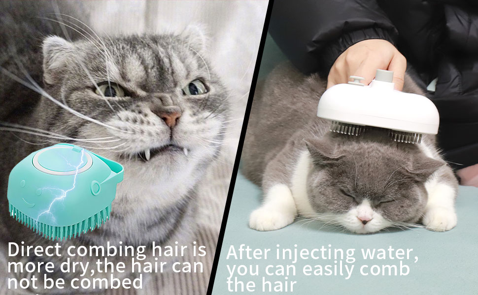 cat brush with steam