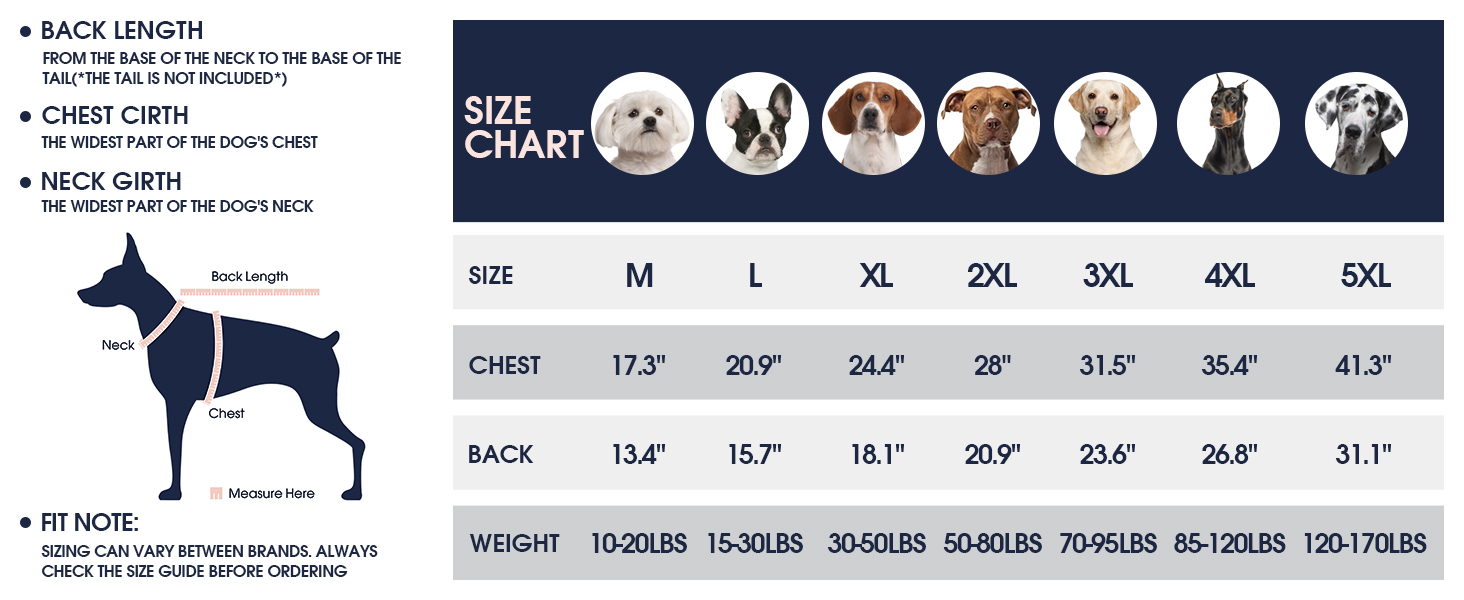 dog sweaters for small dogs