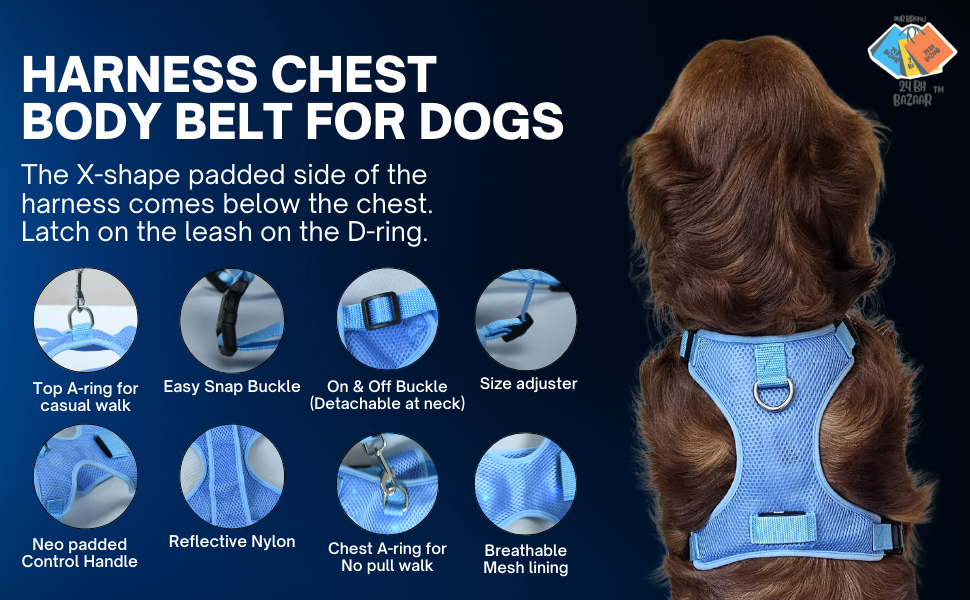 24 BH BAZAAR Combo Pack Dog Harness, Dog Leash, Dog Collar, Name Tag