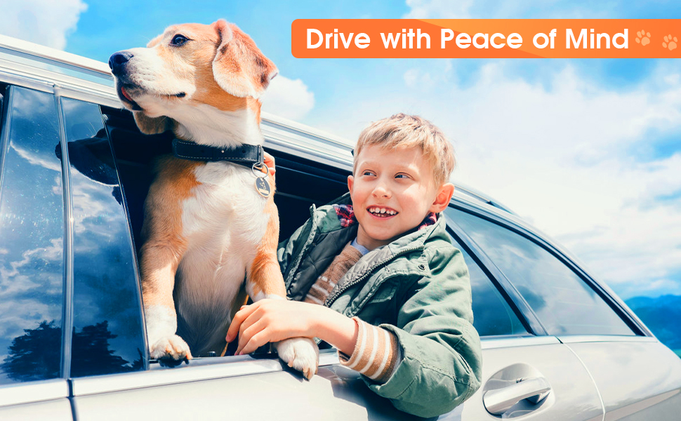car seat cover for dogs