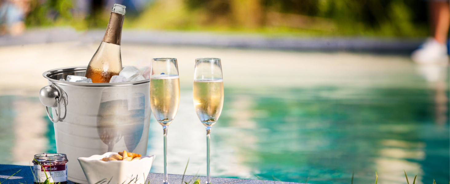 Ice Bucket with Handles