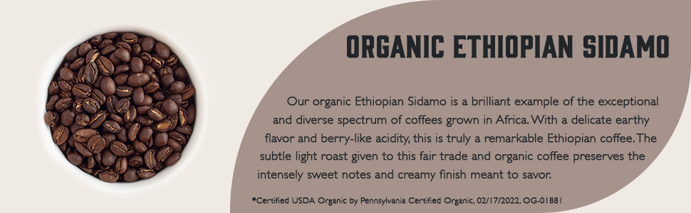 Organic Ethiopian Sidamo description