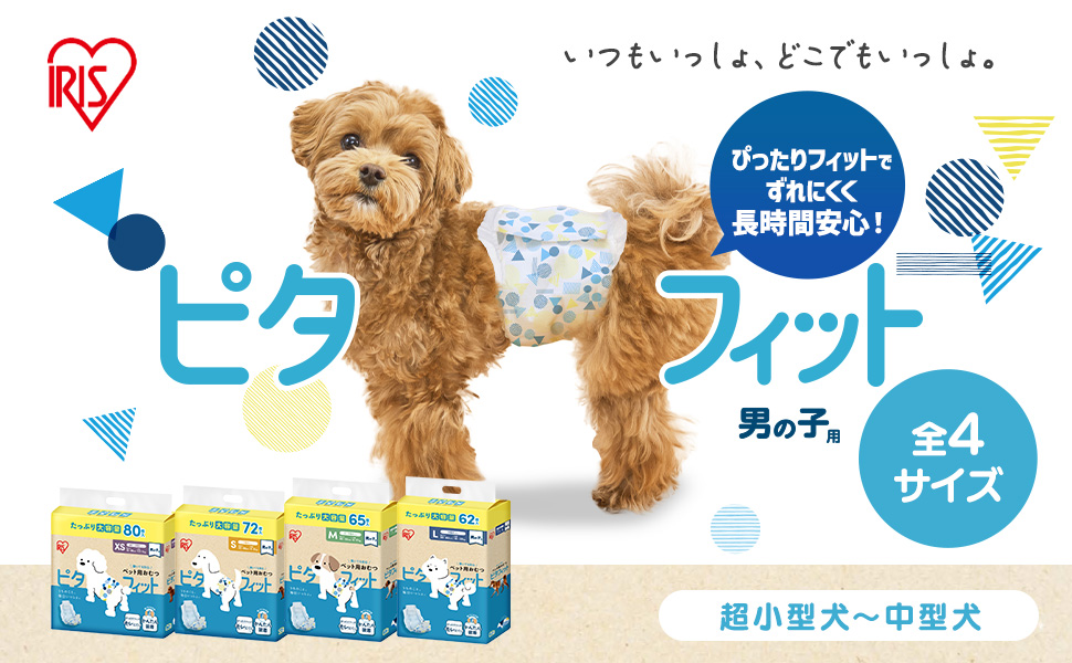 BUS U様　　専用　　　男の子用　アイリス　ピタフィット 430枚　Sサイズ BUS U様 専用 男の子用 アイリス ピタフィット 430枚 Sサイズ