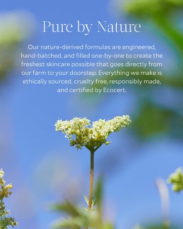 tata harper, premium beauty, luzury skincare, natural skincare, clean skincare