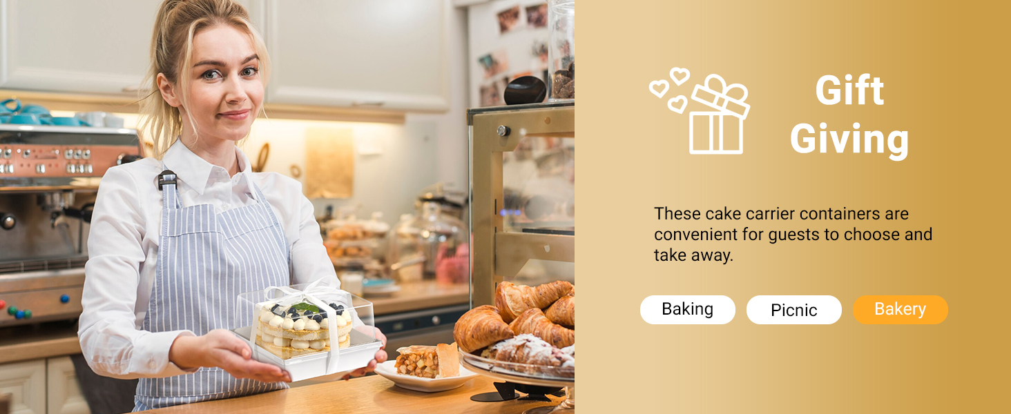 dessert containers with lids